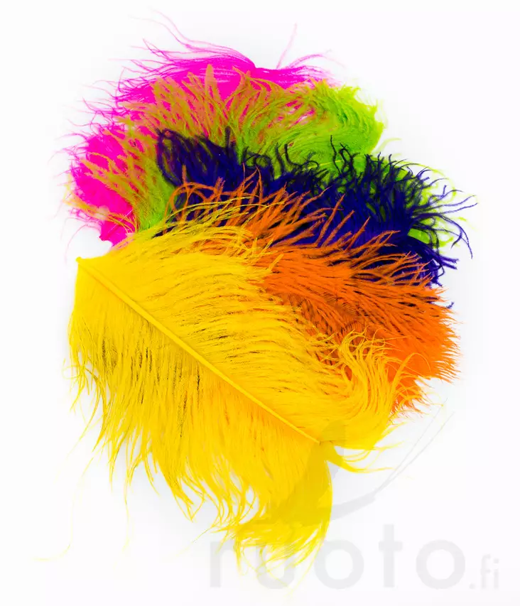 Wapsi Ostrich Plumes - Övriga fjädrar - 40450300035 - 1