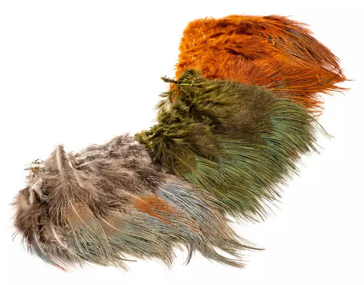 Wapsi Ringneck Pheasant Rump Hackle - Övriga fjädrar - 404503000015 - 1