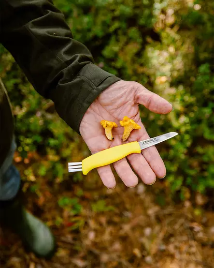 Marttiini Mushroom Knife - Kniv - 6416885425526 - 2