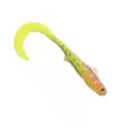  - Sabelsvansade jiggar - 1192026 - 11