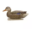 Avian-X Topflight Fusion Mallards 6pcs - Lockande bilder / -diagram - 810280080766 - 5