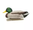 Avian-X Topflight Fusion Mallards 6pcs - Lockande bilder / -diagram - 810280080766 - 6