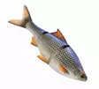 Savage Gear 3D Line Thru Roach 25cm Slow Sink - Gummibeterna för gädda - 04072023126 - 1