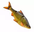 Savage Gear 3D Line Thru Roach 25cm Slow Sink - Gummibeterna för gädda - 04072023126 - 4