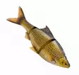 Savage Gear 3D Line Thru Roach 25cm Slow Sink - Gummibeterna för gädda - 04072023126 - 5