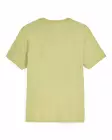 Simms Trout Outline T-Shirt Tent Green - T-shirts herr - 694264694466 - 2