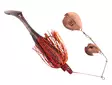 Strike Pro Pig Chopper XL 32g - Spinnerbaits - 2602202346 - 1