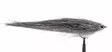 Supertinseli Gunmetal Streamer - Streamers och leech - 8859202530646 - 2