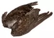 Veniard Grouse Wings - Skinn, vingar och huvud - 5056304601615 - 1