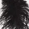Ostrich Mini Plumes - Övriga fjädrar - 40450300056 - 6
