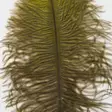Ostrich Mini Plumes - Övriga fjädrar - 40450300056 - 4