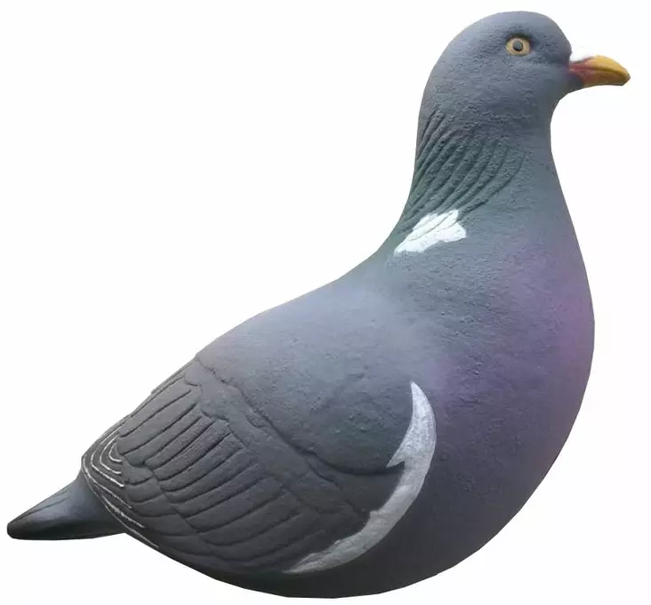 Final Approach Last Pass Wood Pidgeon - Lockande bilder / -diagram - 728614276726 - 3