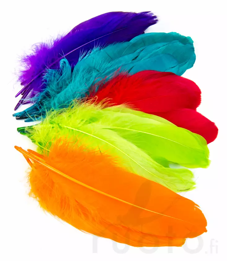 Goose Shoulder - Klassiska fjädrar - 4045030096 - 1