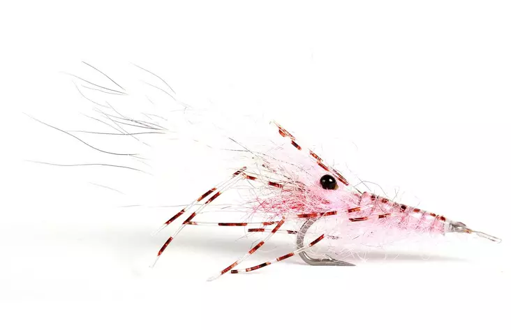 Leoshrimp Pink - Kräfträkor - 7033840130326 - 1