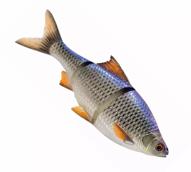 Savage Gear 3D Line Thru Roach 25cm Slow Sink - Gummibeterna för gädda - 04072023126 - 1