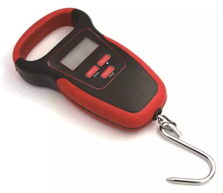 Saxa Floating Fish Scale 50 kg - Övriga verktyg och tillbehör - 6438407012236 - 2