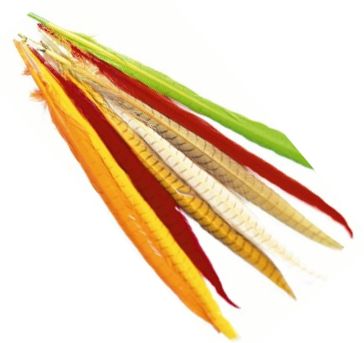 Veniard Cock Pheasant Colour Extracted T - Stjärter - 404503000026 - 1