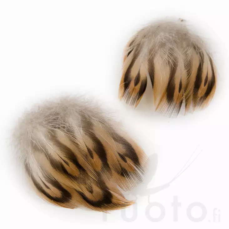 Hen Mallard Breast Feathers - Klassiska fjädrar - 5056304602544 - 1