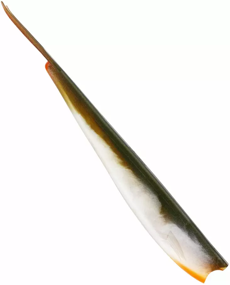 Westin TwinTeez V-Tail 24cm - Vertikaljiggar - 1734056 - 1