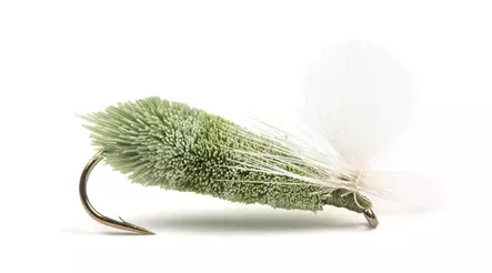 Parachute Caddis Light Olive - Torrflugor - 8859202536587 - 1