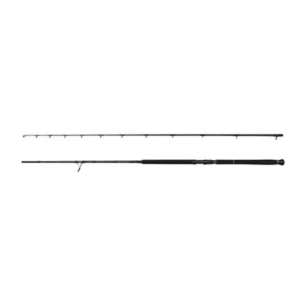 Savage Gear SG2 Shore Jig 2,90m 50-120g - Kust- & inshorespön - 5706301016997 - 2