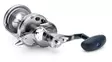 Daiwa 20 Saltiga LD 2 Speed - Hav- och trollingrullar - 043178592427 - 3