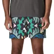 Patagonia Ms Baggies Shorts 5in M KALB - Byxor - 198077735717 - 3