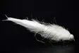 White Leech Tungsten Beadhead - Streamers och leech - 8859202532237 - 1