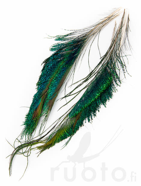 FTS Strung Peacock Herl - Övriga fjädrar - 5056304603862 - 3