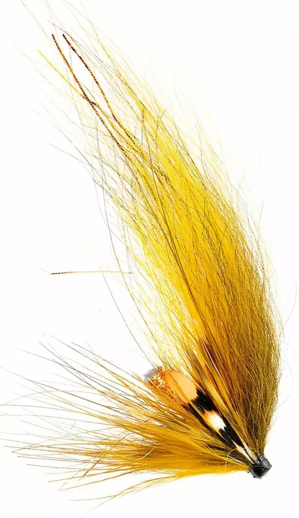 Banana Fly - Tubflugor - 7033840121157 - 2