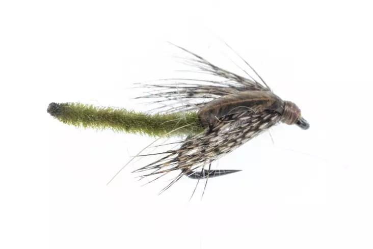 Chenille Pupa Olive - Våtflugor - 06429810537317 - 1