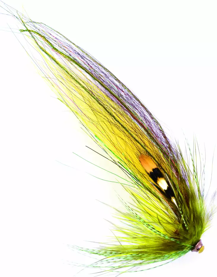 Frödin Flies TTT NoBody Series Nasty Ban - Tubflugor - 7340154606837 - 1