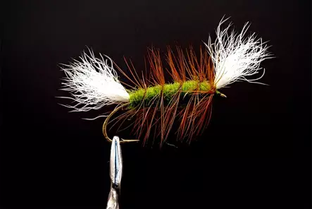 Pompero Olive Salmon Dry Fly - Övriga laxflugor - 8859202530028 - 1