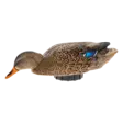 Avian-X Power Shaker Mallard Hen Surface Feeder - Lockande bilder / -diagram - 888151047538 - 1