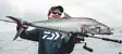 Daiwa 25 Saltiga 35 - Hav- och trollingrullar - 043178187258 - 3