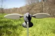 MOJO Pigeon - Lockande bilder / -diagram - 816740002828 - 5