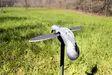 MOJO Pigeon - Lockande bilder / -diagram - 816740002828 - 6