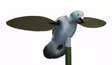 MOJO Pigeon - Lockande bilder / -diagram - 816740002828 - 1