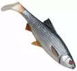 Savage Gear 4D River Roach 22cm 125g - Gummibeterna för gädda - 3400300098 - 4