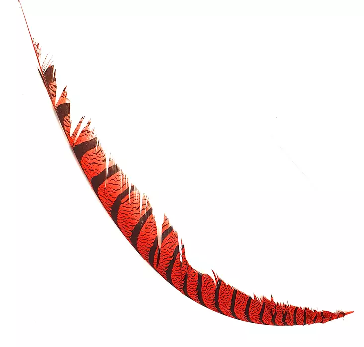 Hareline Lady Amherst Center Tail - Stjärter - 40400700518 - 1