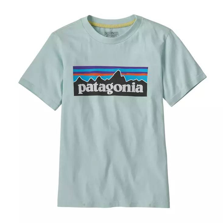 Patagonia Kids P-6 Logo T-Shirt Wispy Green - T-shirts - 196924362208 - 1