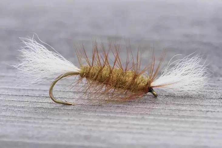 Pompero Light Olive - Övriga laxflugor - 8859202531568 - 1