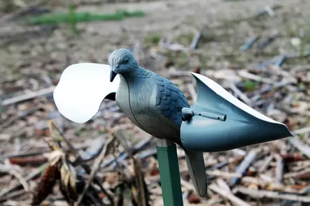 MOJO Wind Dove - Lockande bilder / -diagram - 816740002019 - 2