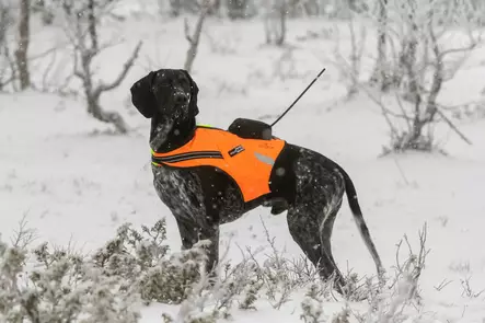 Tracker Kardog Raipe - Hundjackor och -västar - A2900039 - 1