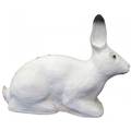SRT Targets 3D Rabbit White - 3D-Färger - 8470569 - 1
