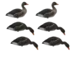 Final Approach Fullbody Flocked Greylag 6pcs - Lockande bilder / -diagram - 728614298629 - 1