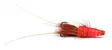 Red Frances Copper tube - Tubflugor - 7033840121379 - 2
