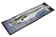 Westin Big Bob 49cm 730G - Havjiggar - 17300500009 - 2