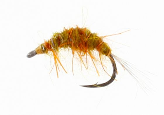 Gammarus UV Shrimp - Kräfträkor - 5707549328019 - 1
