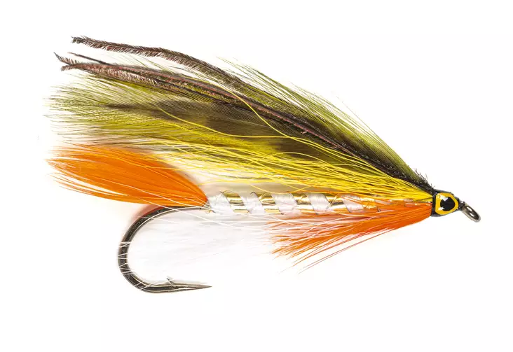Golden Shiner Streamer - Streamers och leech - 8859202536099 - 1